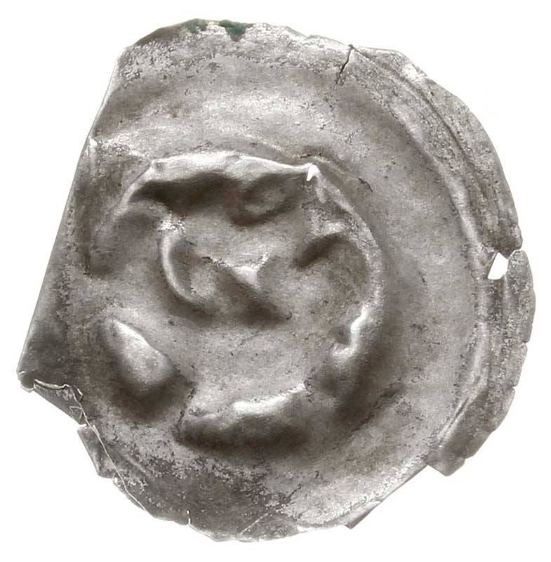 brakteat guziczkowy, koniec XIII w., Delfin (?) w prawo, Sarbsk 93, srebro 0.09 g, zdaniem Dannenberga jest to ryba skręcona w prawo, może z łupem