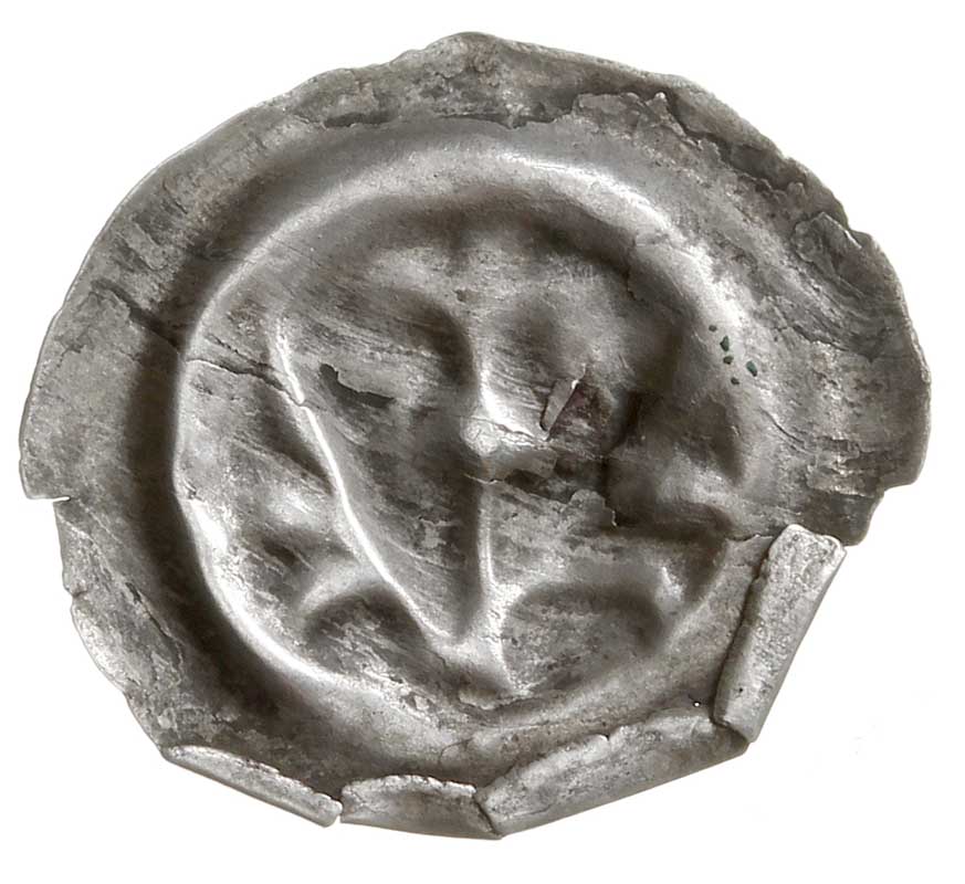 brakteat guziczkowy, koniec XIII w., Lilia na długiej łodydze skrzyżowanej z dwiema gałązkami palmowymi, Wieleń 81, srebro 0.14 g, złuszczenia powierzchni, ubytki kołnierza