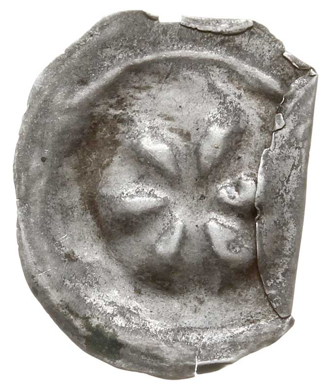 brakteat guziczkowy, koniec XIII w., Koło o sześciu szprychach rozszerzanych ku końcom, obręcz pokrywa się z wałem