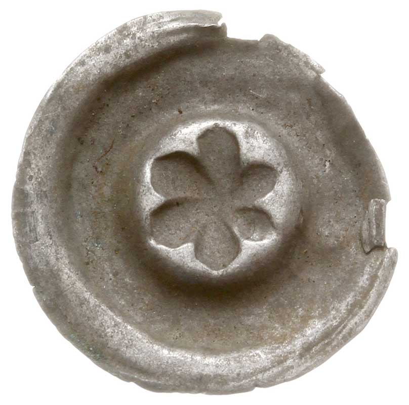 brakteat guziczkowy, początek XIV w., Rozeta sześciolistna, wolnowisząca