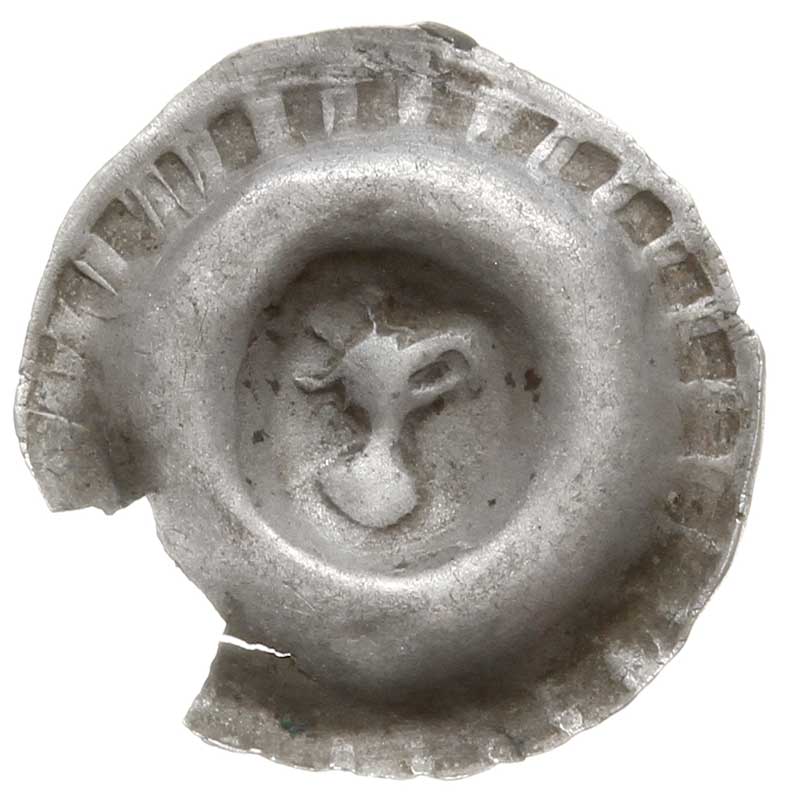 brakteat guziczkowy, początek XIV w., Popiersie orła w koronie w prawo (obserwatora), promienie na kołnierzu