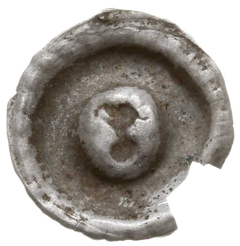 brakteat guziczkowy, początek XIV w., Popiersie orła w koronie w prawo (obserwatora), promienie na kołnierzu