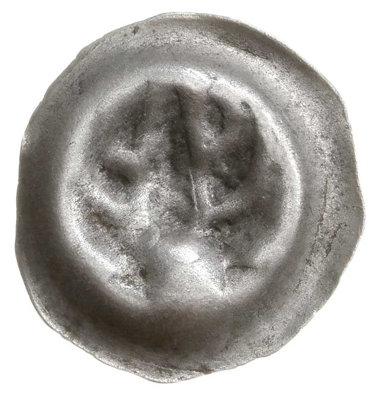 brakteat guziczkowy, 1. połowa XIV w., Jelenie poroże z górną częścią głowy na wprost