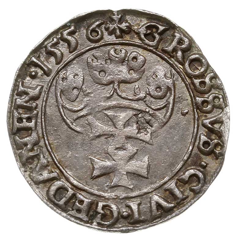 grosz 1556, Gdańsk, odmiana z małą głową króla i końcówką napisu D PRV, T. 4, drobna wada blachy, głęboko wybity, rzadki, ciemna patyna