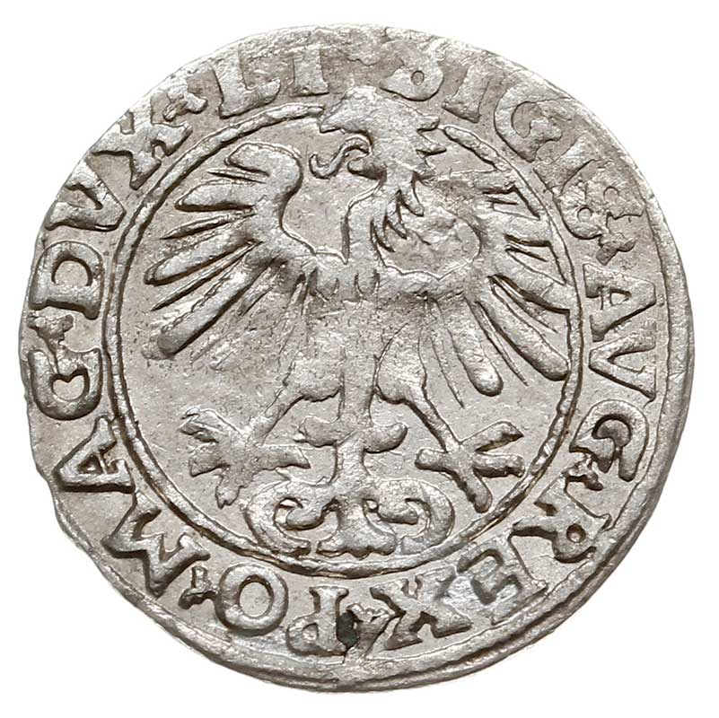 półgrosz 1554, Wilno, Ivanauskas 4SA52-17, T. 12