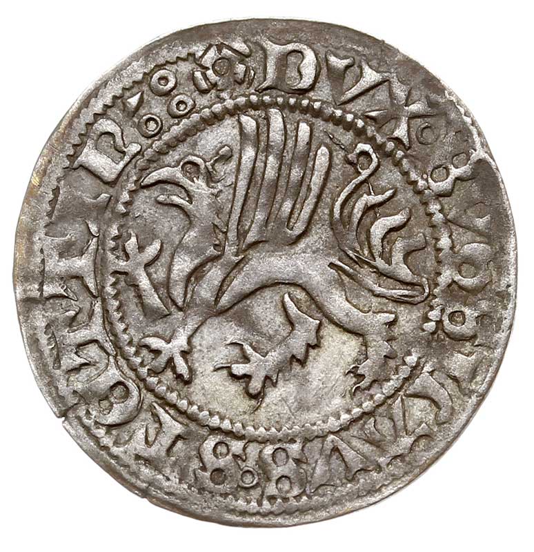 Bogusław X Wielki 1474-1523, szeląg bez daty, Dą