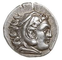 Macedonia, Antigonos I Monophthalmos 320-301 pne, drachma, ok. 310-301 pne, mennica Lampsakos, Aw:..