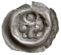 brakteat guziczkowy, koniec XIII w., Głowa byka 