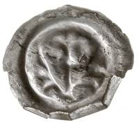 brakteat guziczkowy, koniec XIII w., Lilia na długiej łodydze skrzyżowanej z dwiema gałązkami palm..