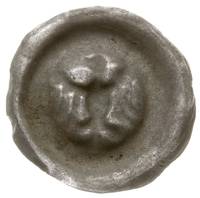 brakteat guziczkowy, początek XIV w., Orzeł rozp