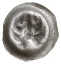 brakteat guziczkowy, 1. połowa XIV w., Jelenie poroże z górną częścią głowy na wprost; parostki i ..