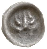 brakteat guziczkowy, 1. połowa XIV w., Jelenie poroże z górną częścią głowy na wprost; parostki i ..