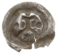 brakteat ok. 1277/8-1287/8, Krzyż grecki na pełnym łuku opartym o wał, pomiędzy dwiema kulkami i d..