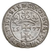 grosz oblężniczy 1577, Gdańsk, wybity w czasie gdy zarządcą mennicy był K. Goebl, na awersie głowa..