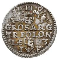 trojak 1593, Olkusz, znak ruszt pod herbem Lewar