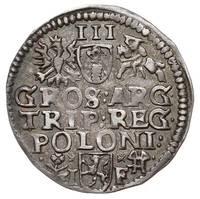 trojak 1595, Wschowa, data obok głowy króla, Ige