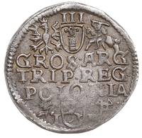 trojak 1595, Wschowa, data obok głowy króla, Iger W.95.4.a (R), patyna