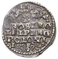 trojak 1596, Lublin, Iger L.96.5.c (R), patyna