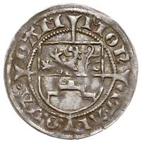 Bogusław X Wielki 1474-1523, szeląg bez daty, Dąbie, Dannenberg 379, Pogge 848, patyna
