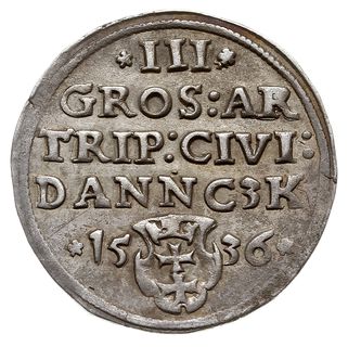 trojak 1536, Gdańsk, Iger G.36.2.j (R1), patyna