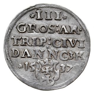 trojak 1537, Gdańsk, Iger G.37.1 d/a (R1), patyna