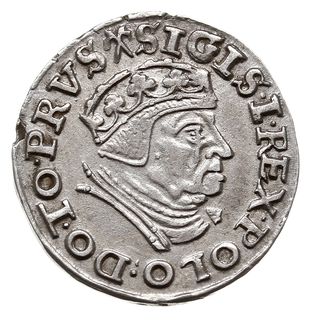 trojak 1539, Gdańsk, na rewersie gwiazdki po bok
