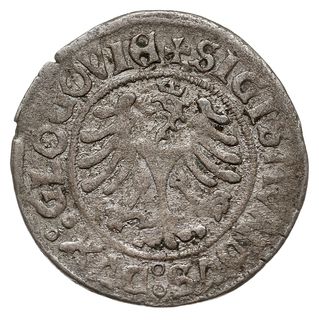 grosz bez daty, Głogów, Fbg. 295, moneta bita przez królewicza Zygmunta jako księcia głogowskiego, patyna