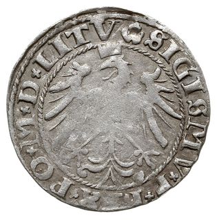 grosz 1536, Wilno, odmiana z literą I pod Pogonią, Ivanauskas 2S49-15, T. 7, bardzo ładny z delikatną patyną