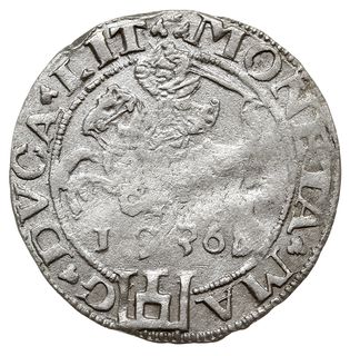 grosz 1536, Wilno, nieczytelna litera pod Pogoni