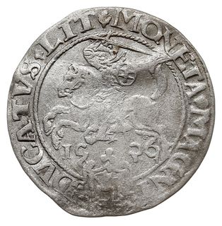 grosz 1536, Wilno, odmiana bez litery pod Pogonią, nienotowany w Ivanauskasie układ napisów otokowych, T. 7