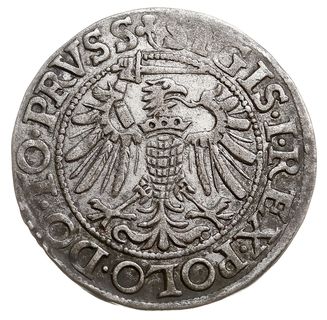 grosz 1539, Elbląg, na awersie odmiana napisu PRVSS, delikatna patyna