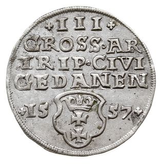 trojak 1557, Gdańsk, na awersie popiersie króla w obwódce, Iger G.57.1.a (R4), bardzo ładny i rzadki, dużo menniczego połysku
