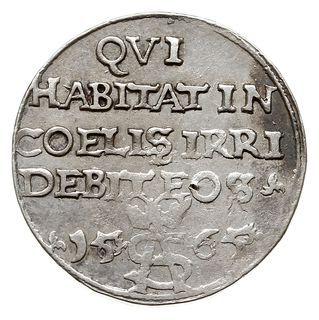trojak 1565, Tykocin, Iger V.65.1.d (R5), Ivanau