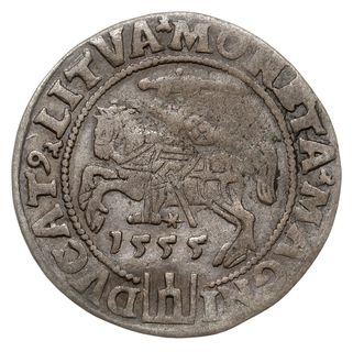 grosz na stopę litewską, 1555, Wilno, Ivanauskas