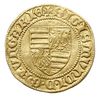 goldgulden (1387-1389), Kassa, Aw: Tarcza herbowa, Rw: Św. Ładysław, po bokach dwie lilie, złoto 3..
