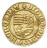goldgulden (1411), Buda, Aw: Tarcza herbowa, Rw: Św. Ładysław, po bokach O i K z krzyżem, złoto 3...