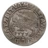 grosz na stopę litewską, 1555, Wilno, Ivanauskas 6SA22-7, T. 12, bardzo rzadki, ciemna patyna