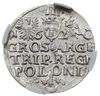 trojak 1620, Kraków, Iger K.20.1.a, moneta w pudełku NGC z certyfikatem MS64, rzadki w tak wyśmien..