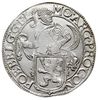 talar lewkowy (Leeuwendaalder) 1641, srebro 26.97 g, Delm. 825, Purmer Ge56, Verk. 11.1, lekko nie..