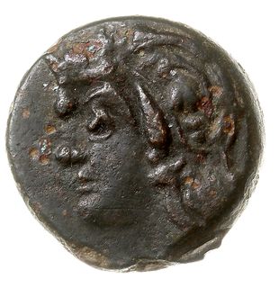 brąz 310-303 pne, Aw: Głowa satyra w lewo, Rw: Głowa lwa w lewo, poniżej delfin, w polu ΠΑΝ, brąz 7.76 g, MacDonald 70, SNG BM 883-889