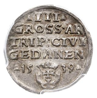 trojak 1539, Gdańsk, Iger G.39.1.e (R1), moneta w pudełku firmy PCGS z oceną MS 62, wyśmienity stan zachowania, patyna