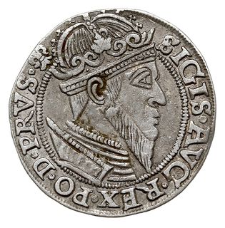 trojak 1557, Gdańsk, popiersie króla w obwódce, 