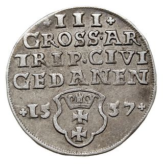 trojak 1557, Gdańsk, popiersie króla w obwódce, Iger G.57.1.a (R4), T. 3, dość ładny egzemplarz, rzadki