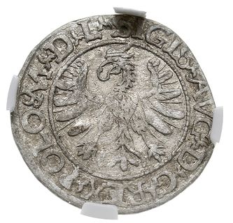 pólgrosz 1566, Tykocin, pod Pogonią herb Jastrzę