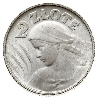 2 złote 1924, Birmingham, litera H obok daty, Pa