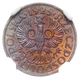 1 grosz 1925, Warszawa, Parchimowicz 101 b, moneta w pudełku firmy NGC z oceną MS 65 RB, piękny, patyna