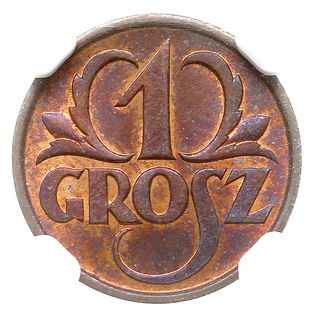 1 grosz 1925, Warszawa, Parchimowicz 101 b, moneta w pudełku firmy NGC z oceną MS 65 RB, piękny, patyna