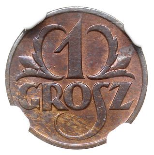 1 grosz 1927, Warszawa, Parchimowicz 101 c, moneta w pudełku firmy NGC z oceną MS 65 RB, piękny, patyna