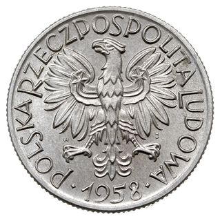5 złotych 1958, Warszawa, Rybak”, Parchimowicz 5