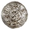 denar 989-995, Aw: Krzyż z kulkami w polach, LIV